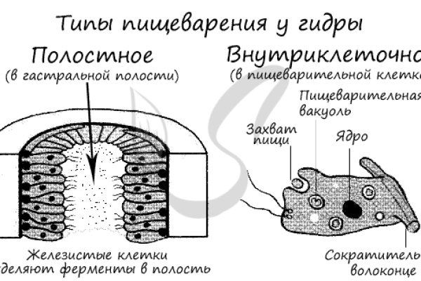 Ссылка на кракен зеркало