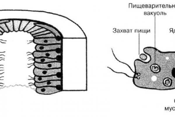 Kraken магазин ссылка